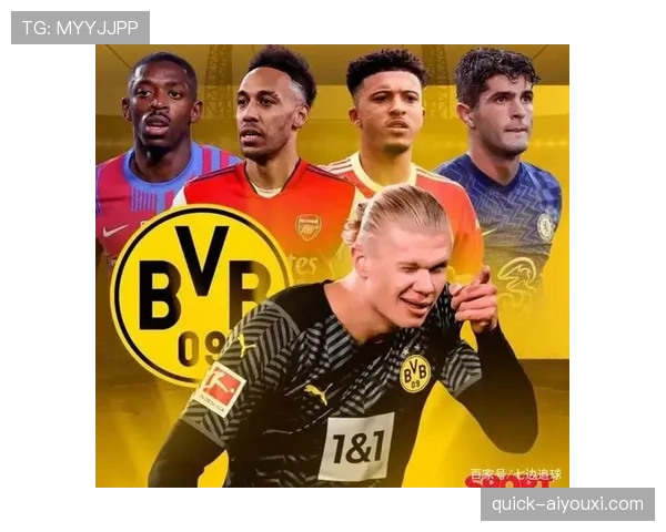 哈兰德团队荣誉与个人影响力差距解析