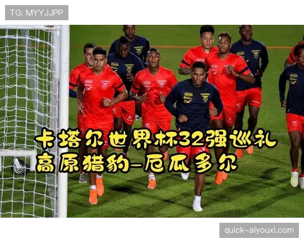卡塔尔无缘世界杯32强：B组垫底出局回顾